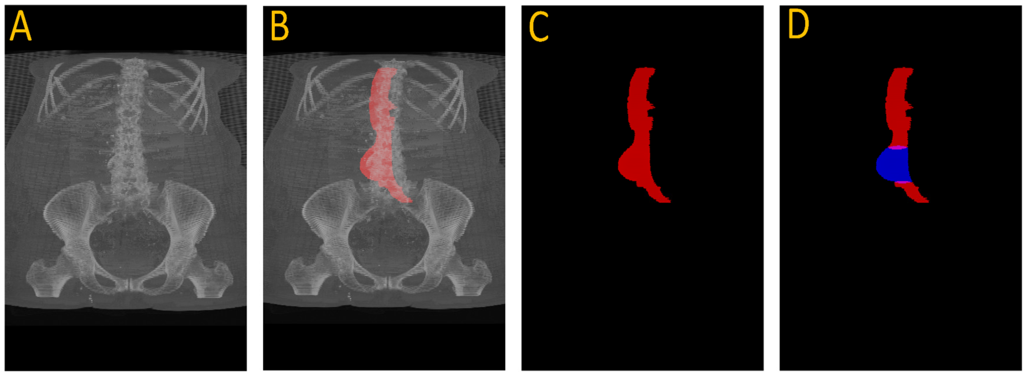Diagnostics 15 01804 g003