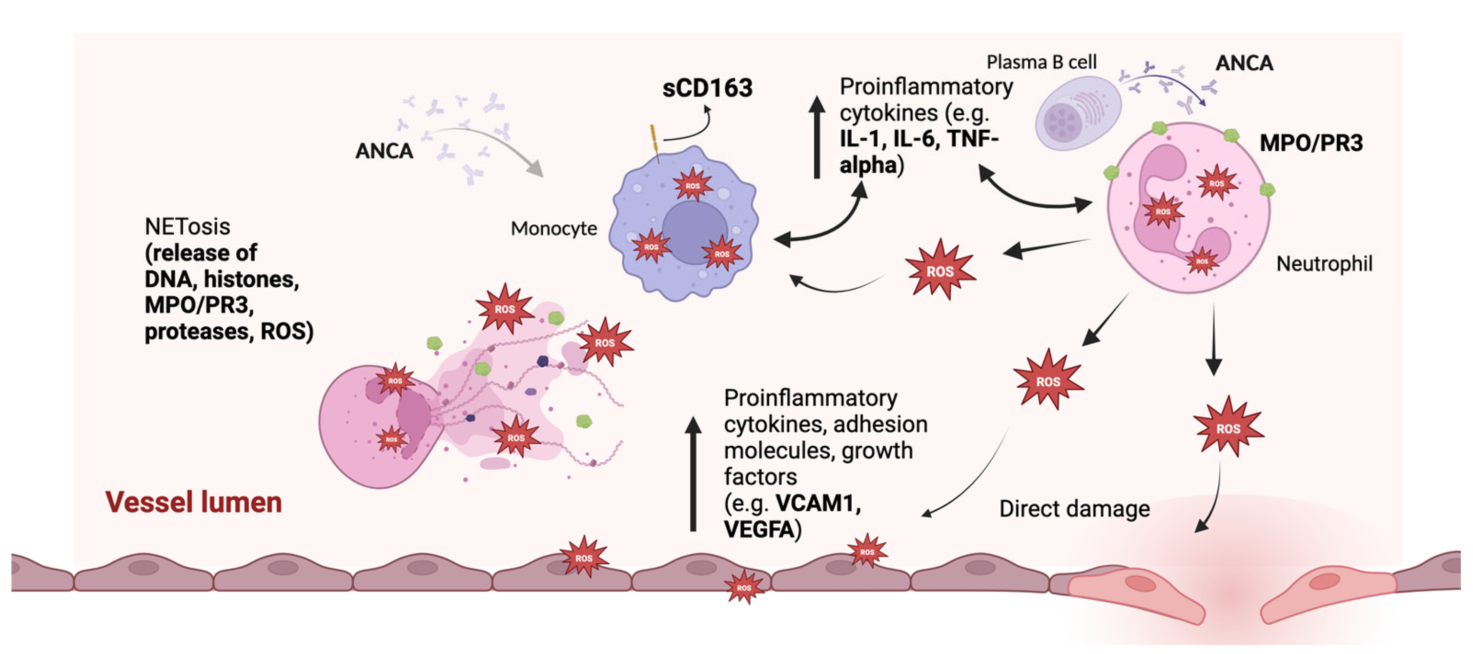 Diagnostics 15 01905 g002