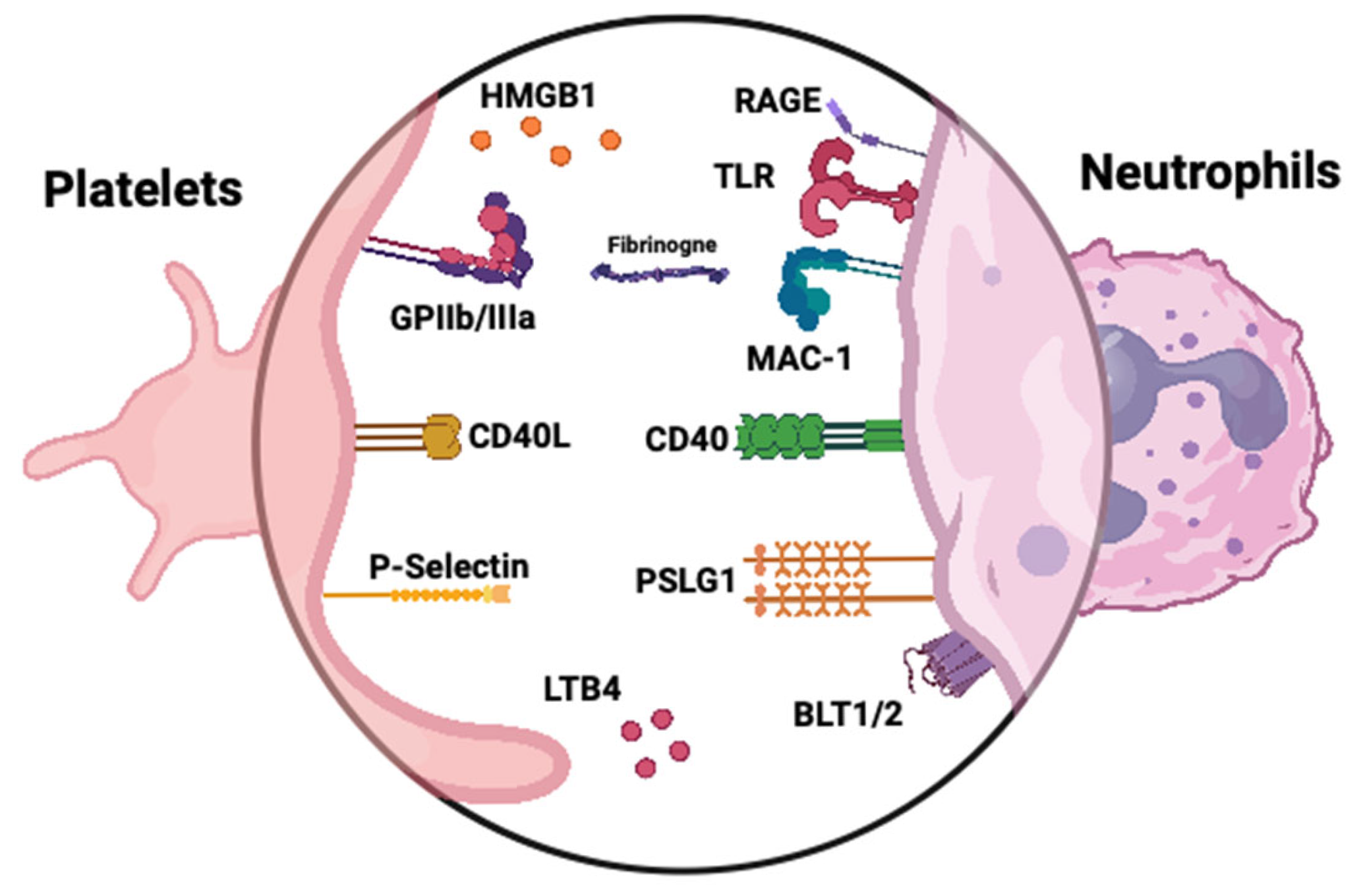 Diagnostics 15 01905 g003