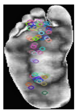 Diagnostics 15 01996 i007 Diagnostics 15 01996 i007