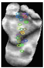 Diagnostics 15 01996 i008 Diagnostics 15 01996 i008