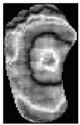 Diagnostics 15 01996 i011 Diagnostics 15 01996 i011