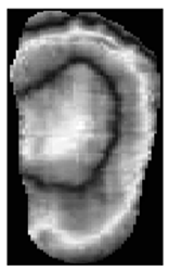 Diagnostics 15 01996 i015 Diagnostics 15 01996 i015