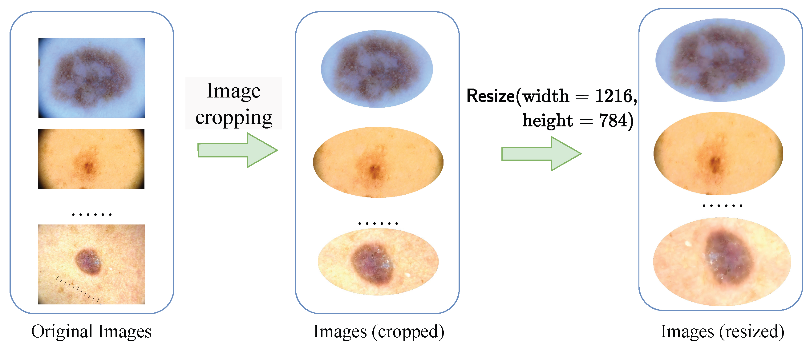 Diagnostics 15 02011 g008 Diagnostics 15 02011 g008