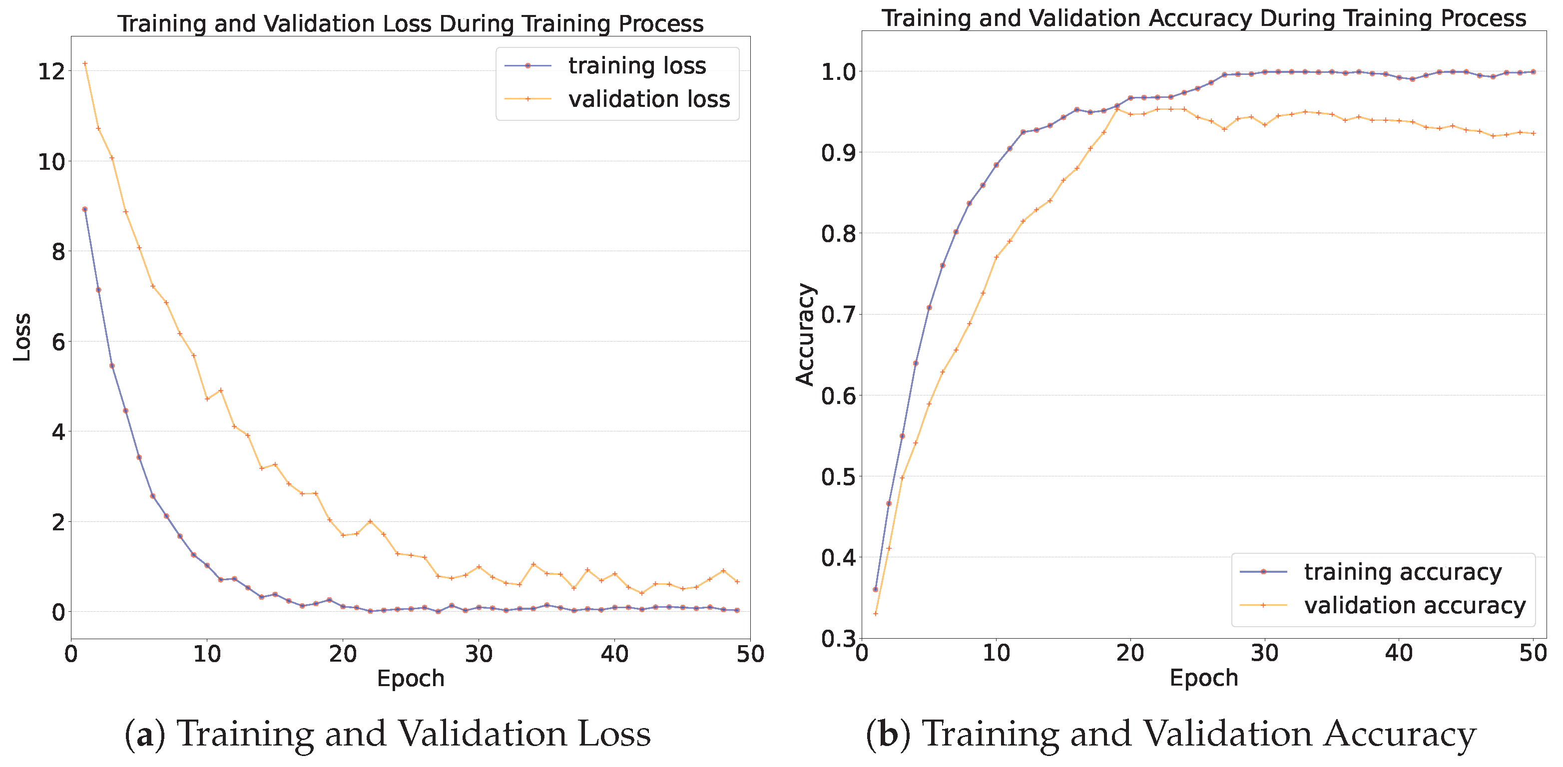 Diagnostics 15 02011 g014 Diagnostics 15 02011 g014