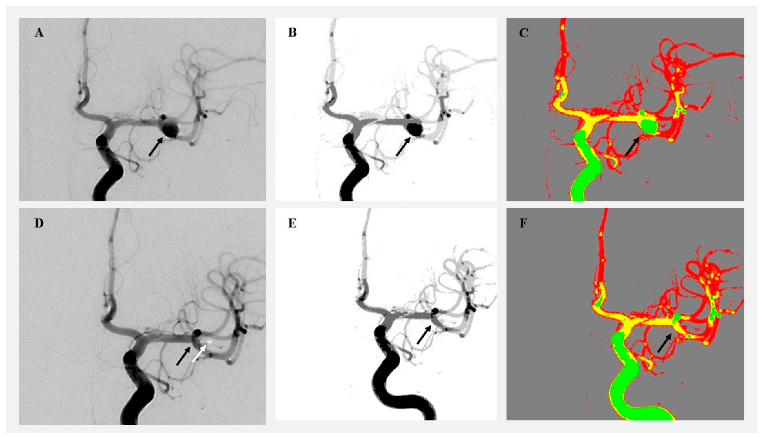 Diagnostics 15 02036 g002
