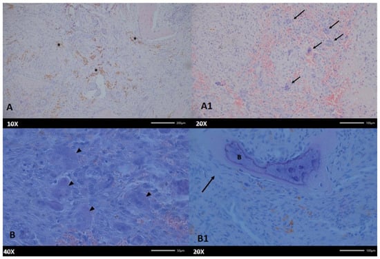 Diagnostics 15 02038 g005