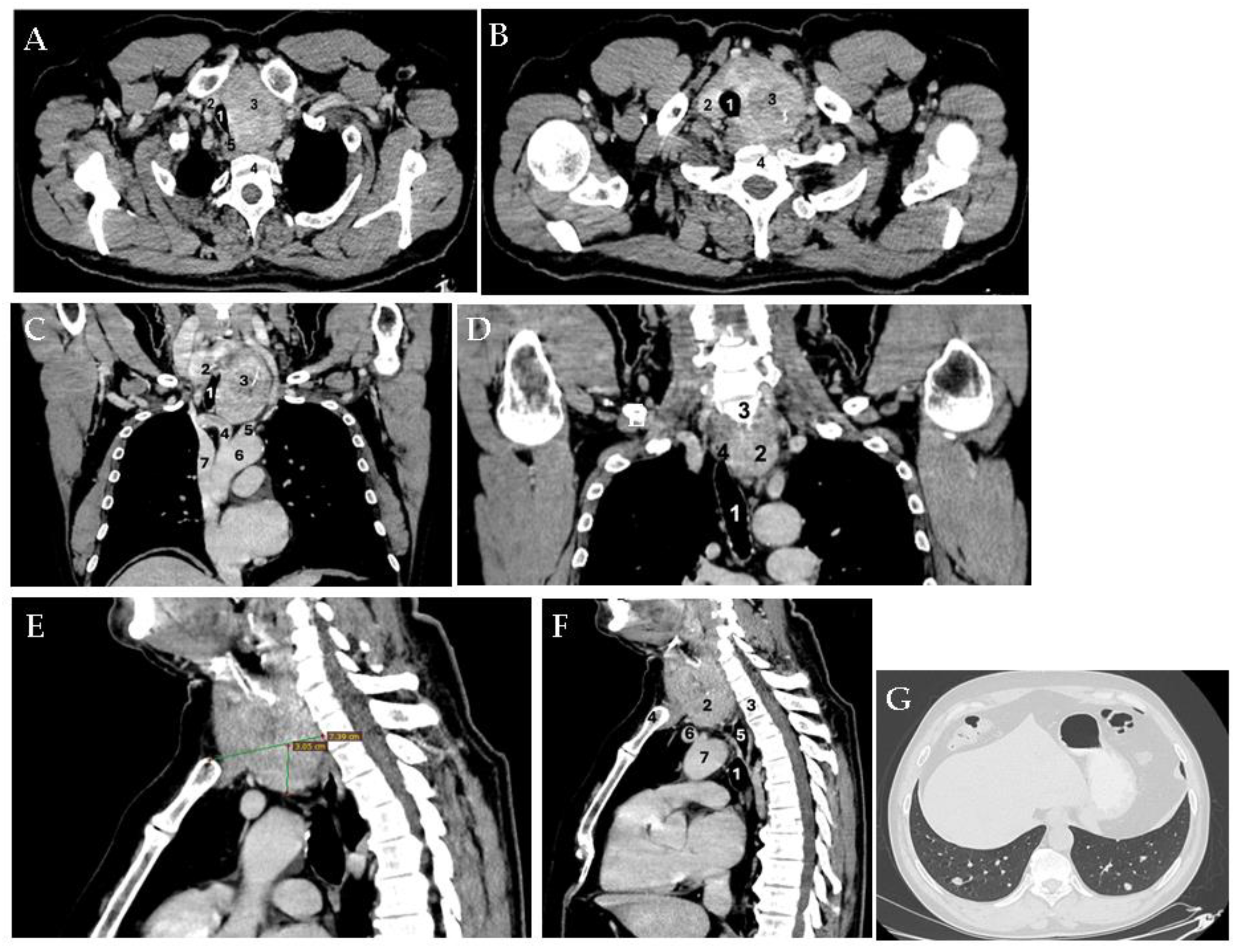 Diagnostics 15 02049 g002
