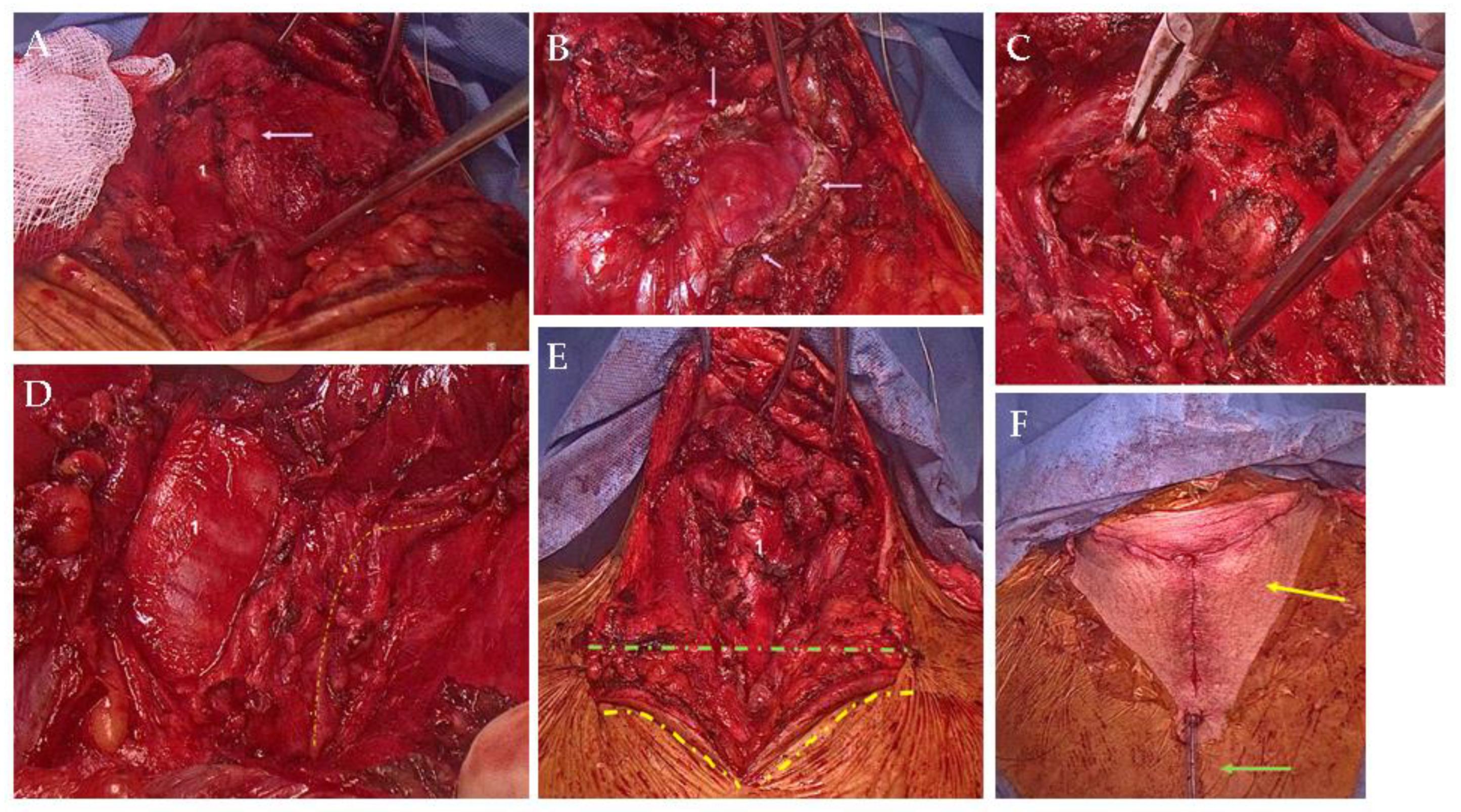 Diagnostics 15 02049 g003