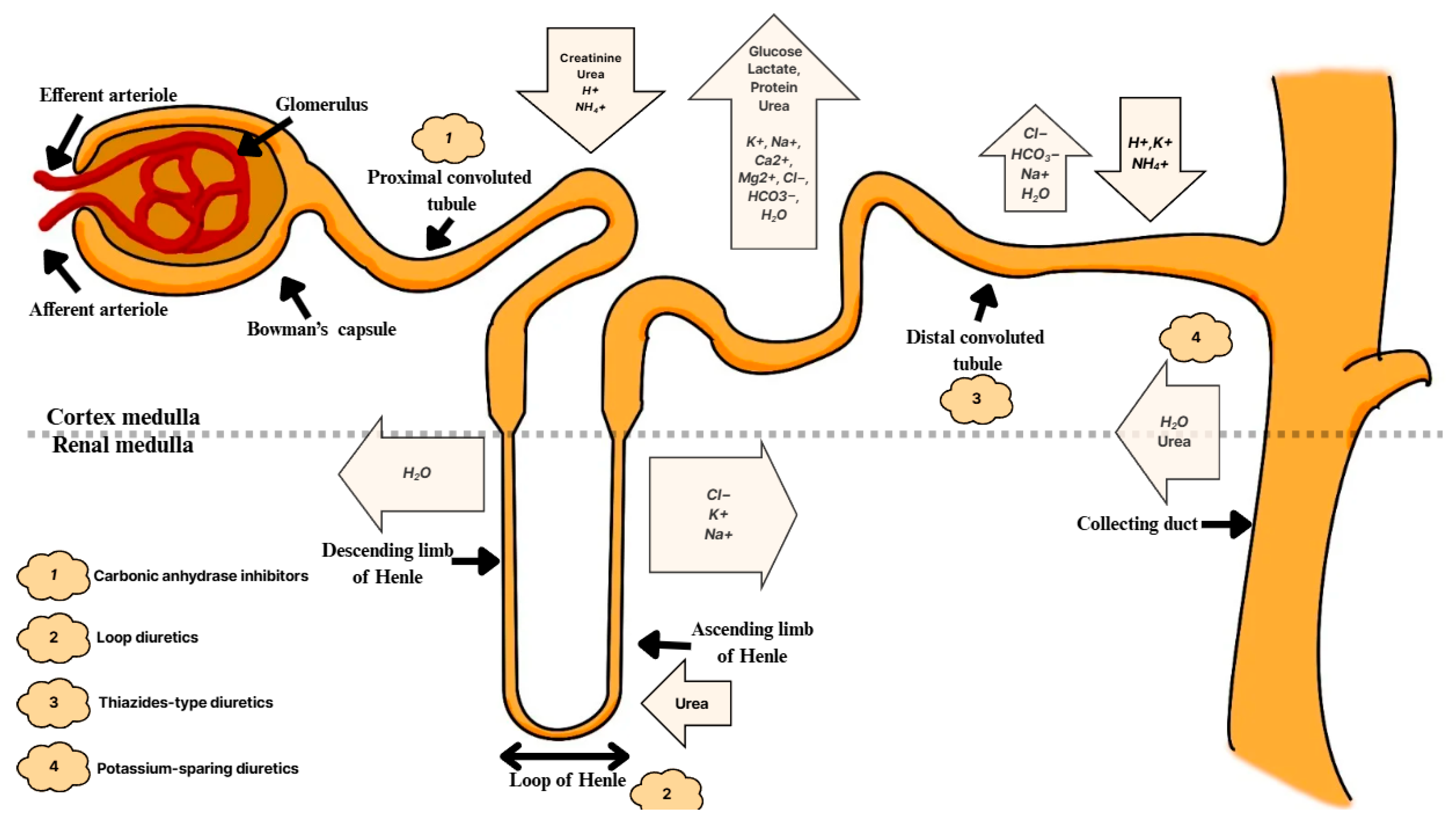 Diagnostics 15 02052 g003
