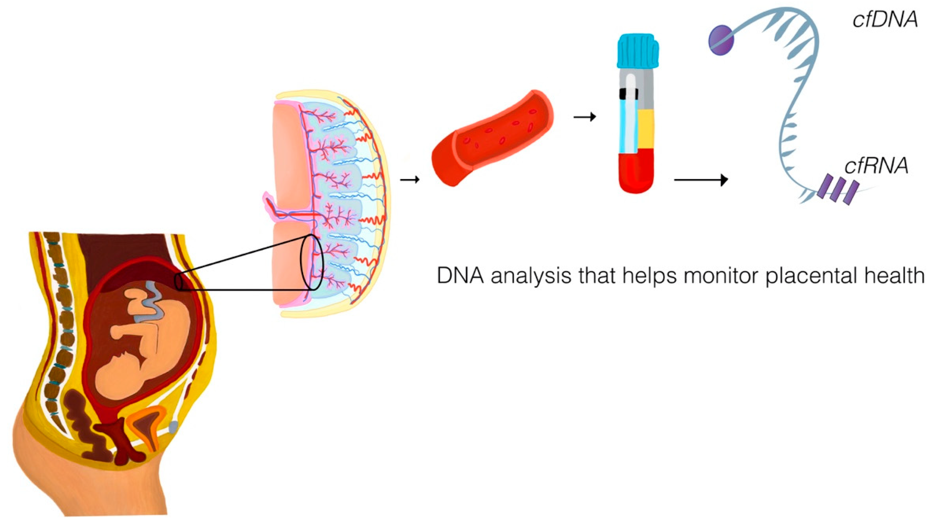 Diagnostics 15 02056 g001