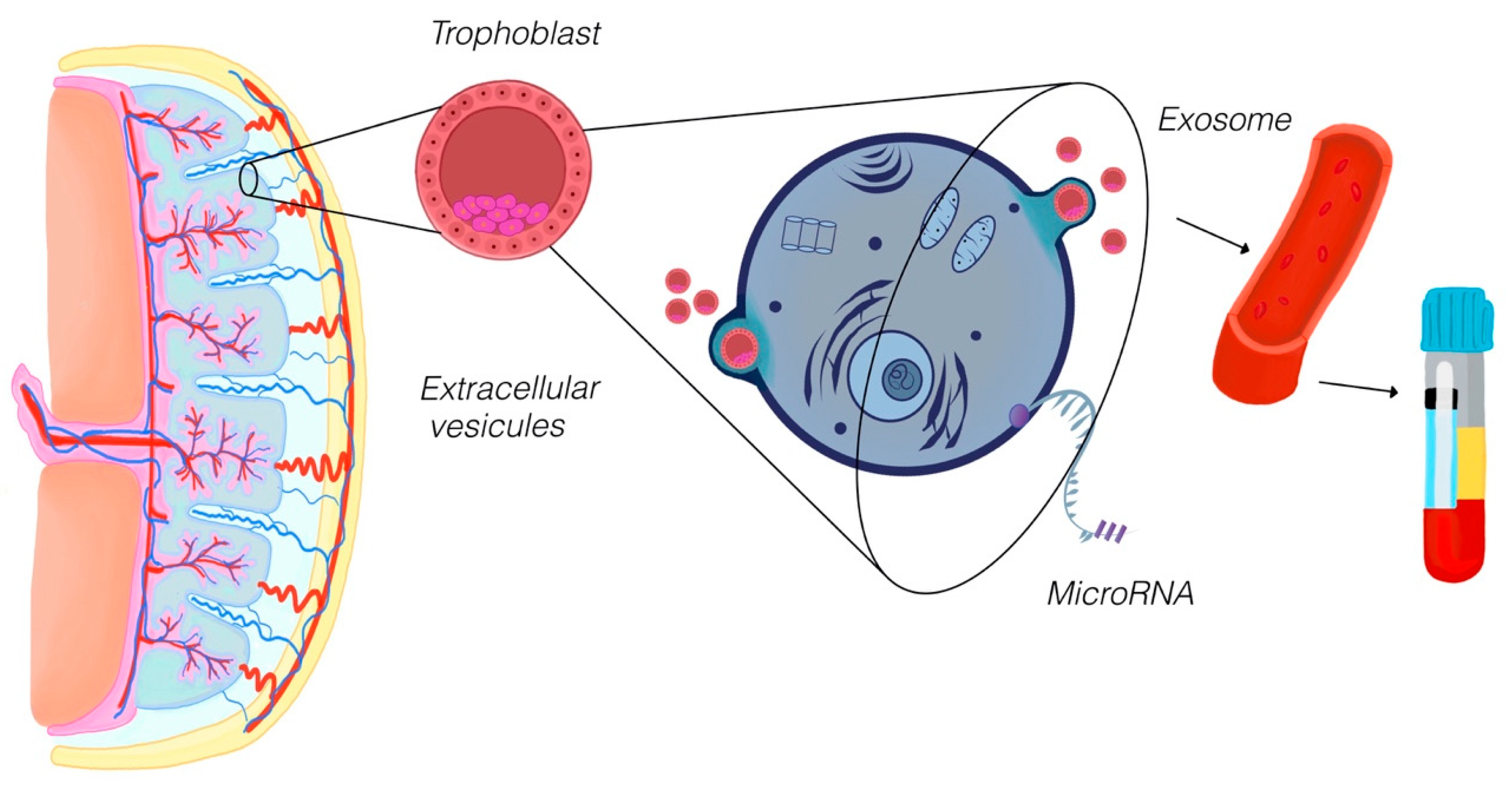 Diagnostics 15 02056 g002