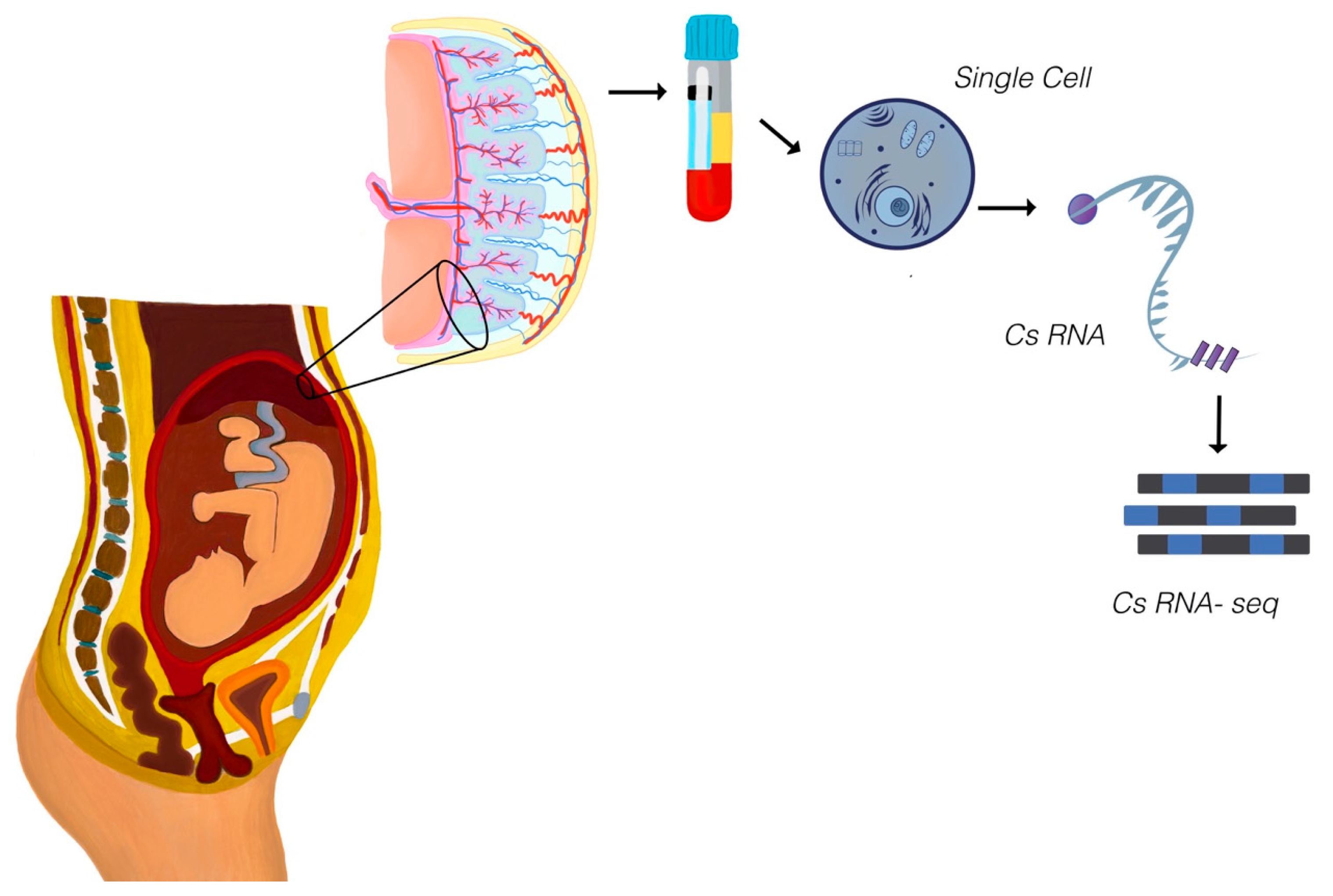 Diagnostics 15 02056 g003