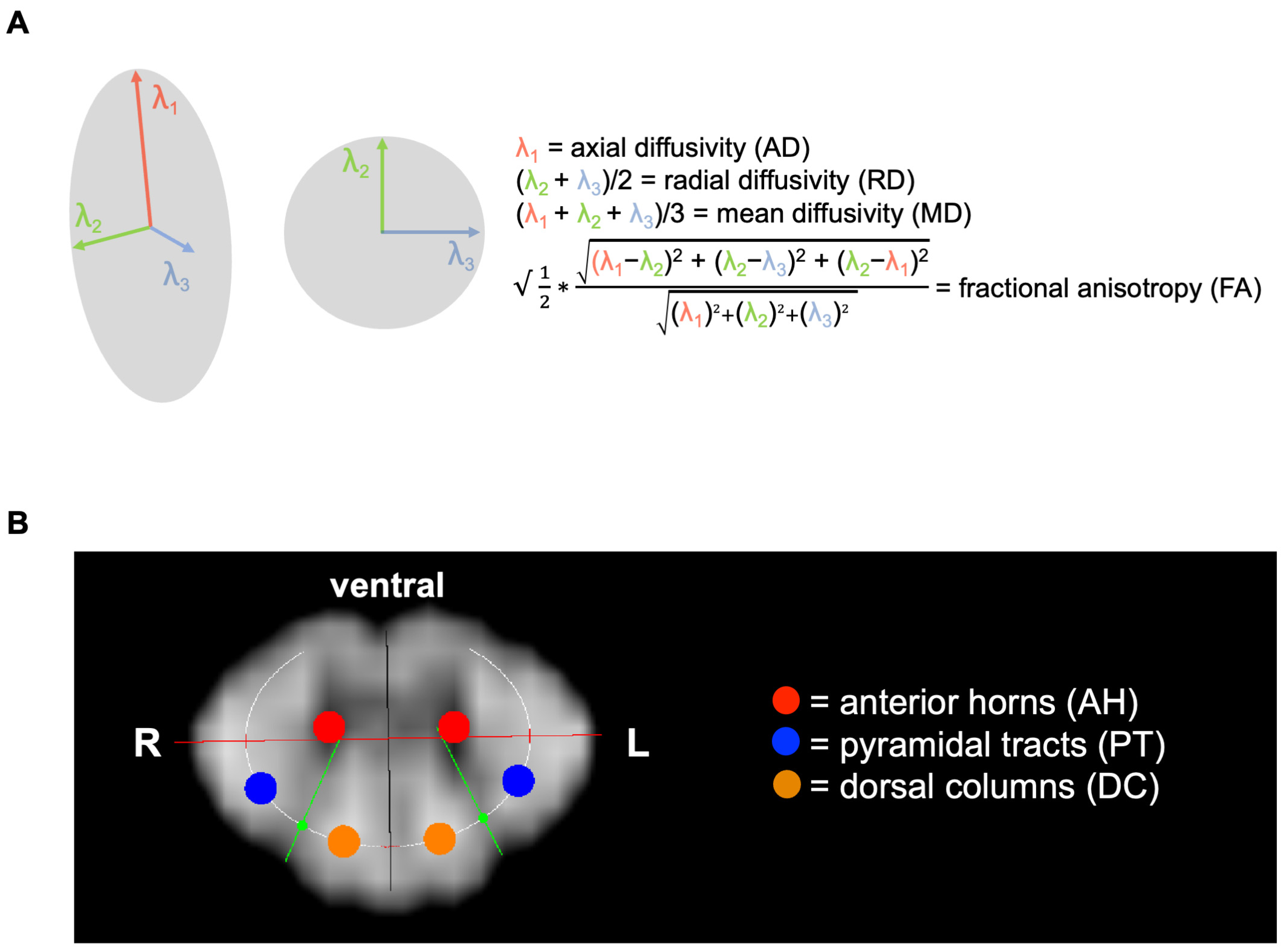 Diagnostics 15 02057 g003 Diagnostics 15 02057 g003