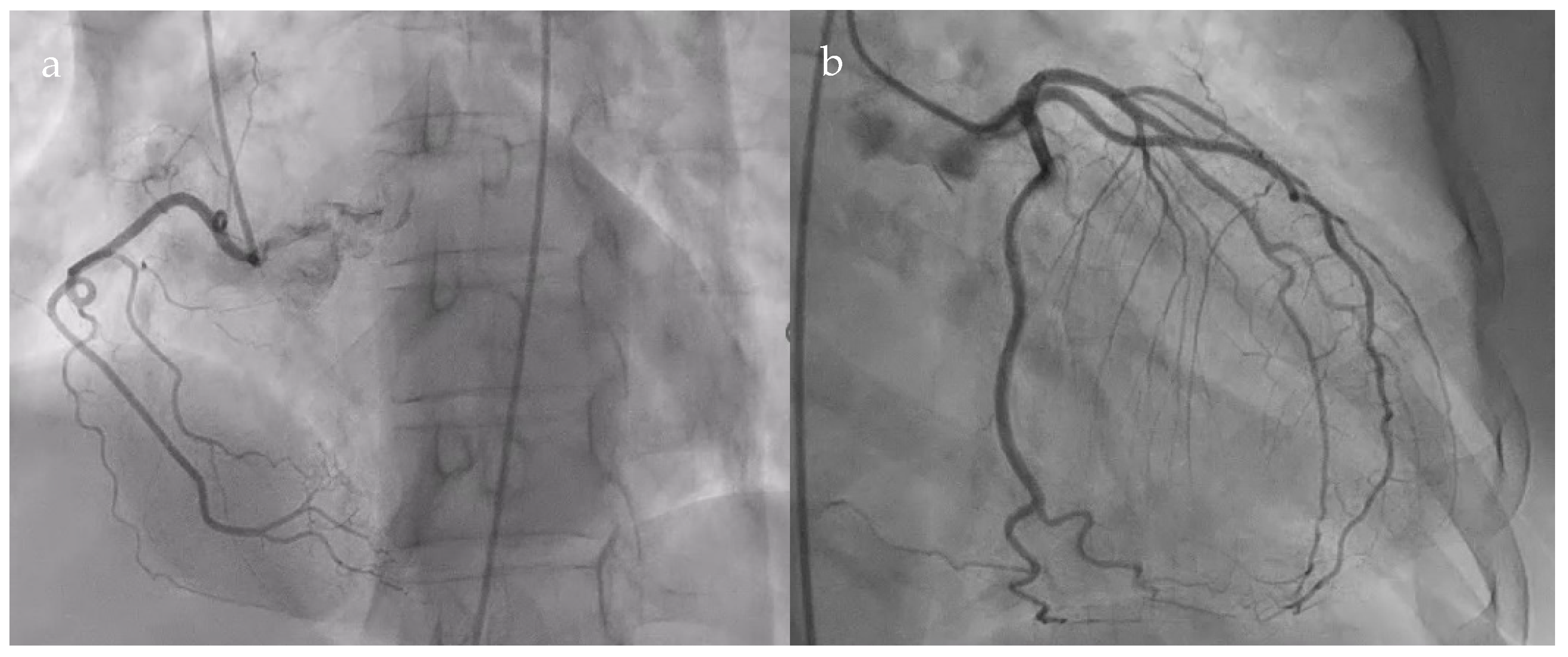 Diagnostics 15 02058 g002