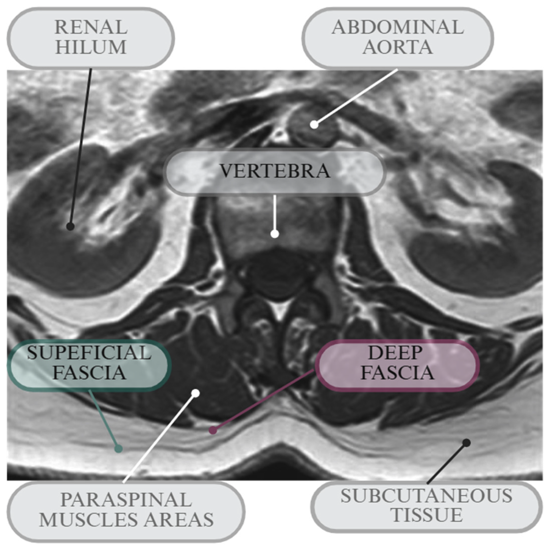 Diagnostics 15 02059 g002