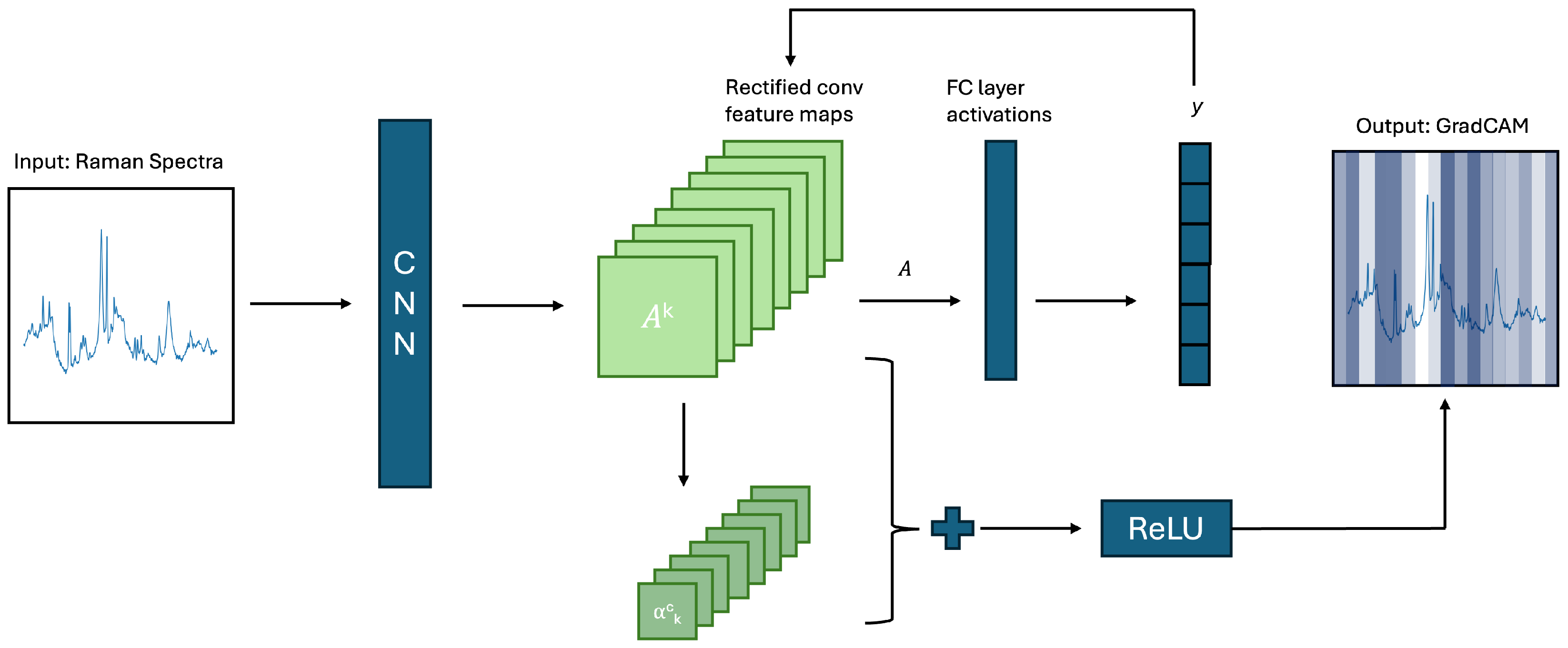 Diagnostics 15 02063 g002