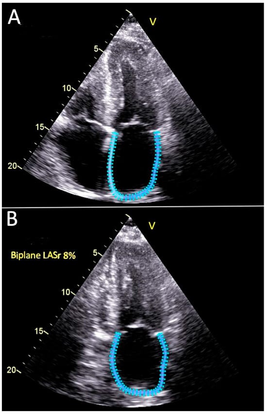 Diagnostics 15 02073 g001