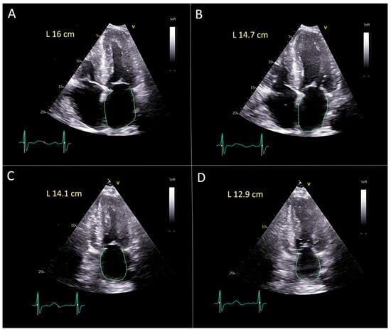 Diagnostics 15 02073 g002