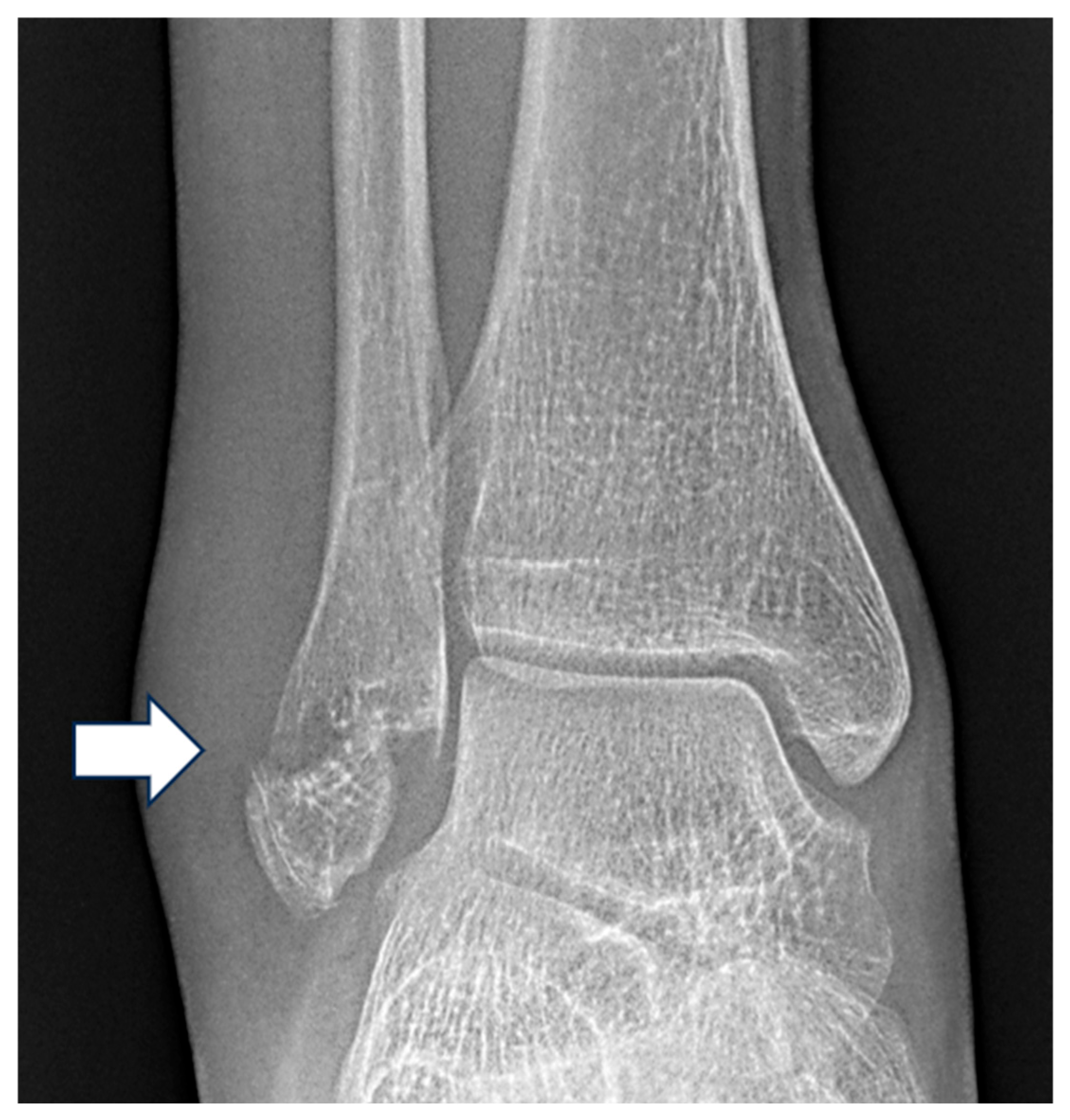 Diagnostics 15 02085 g001