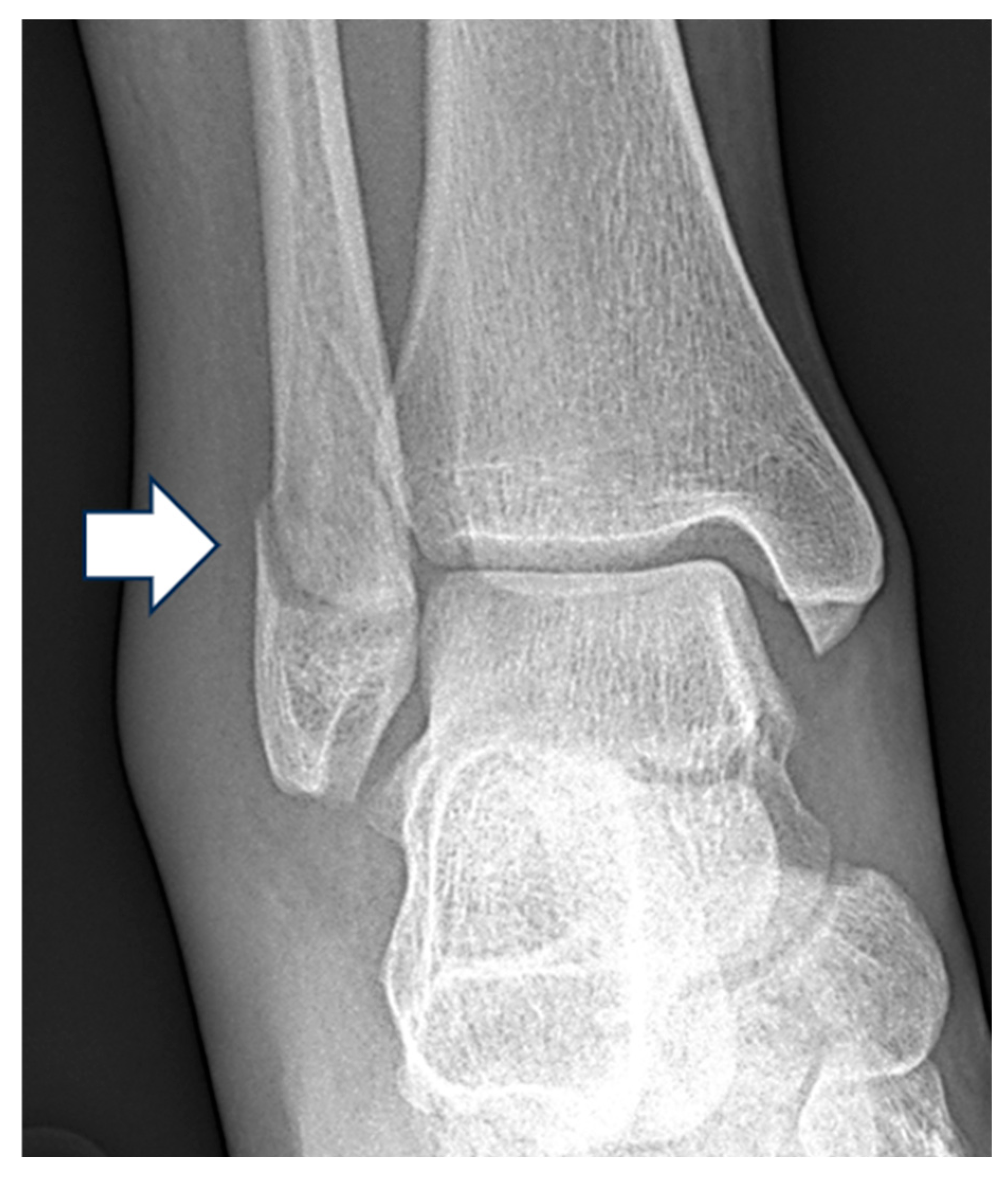 Diagnostics 15 02085 g002