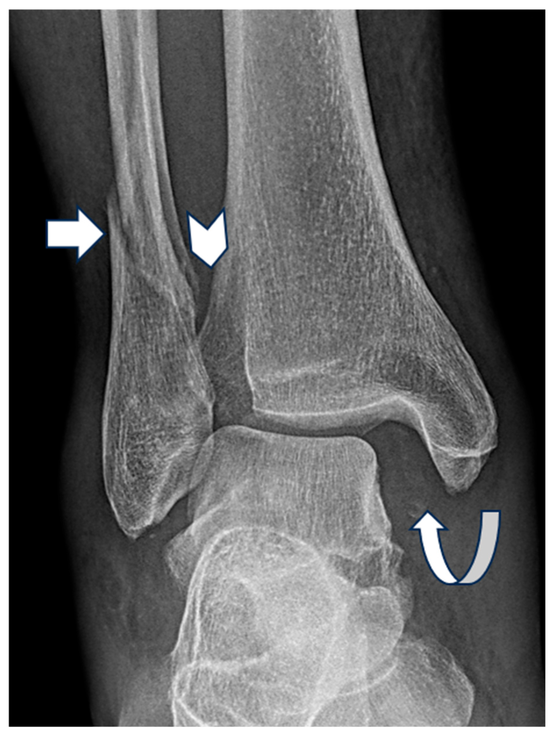 Diagnostics 15 02085 g003