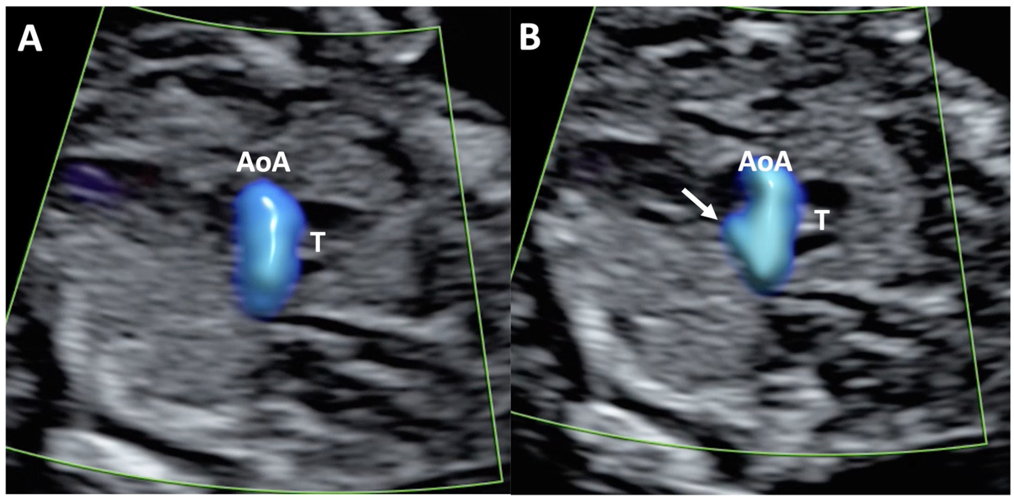 Diagnostics 15 02088 g001