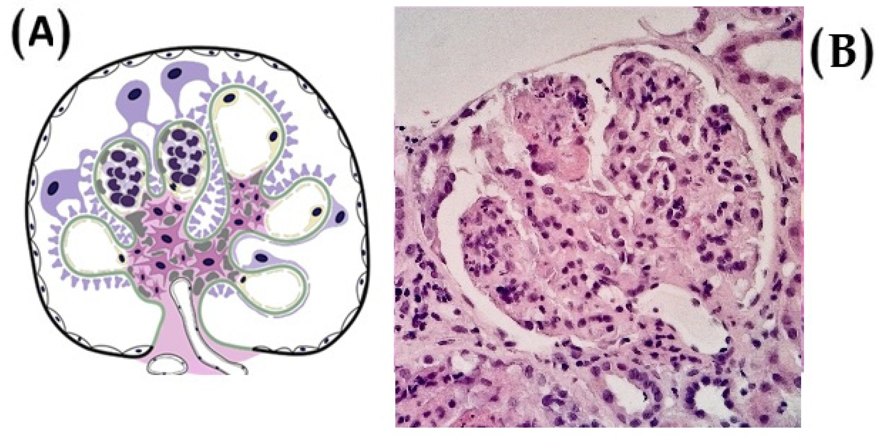 Diagnostics 15 02101 g001