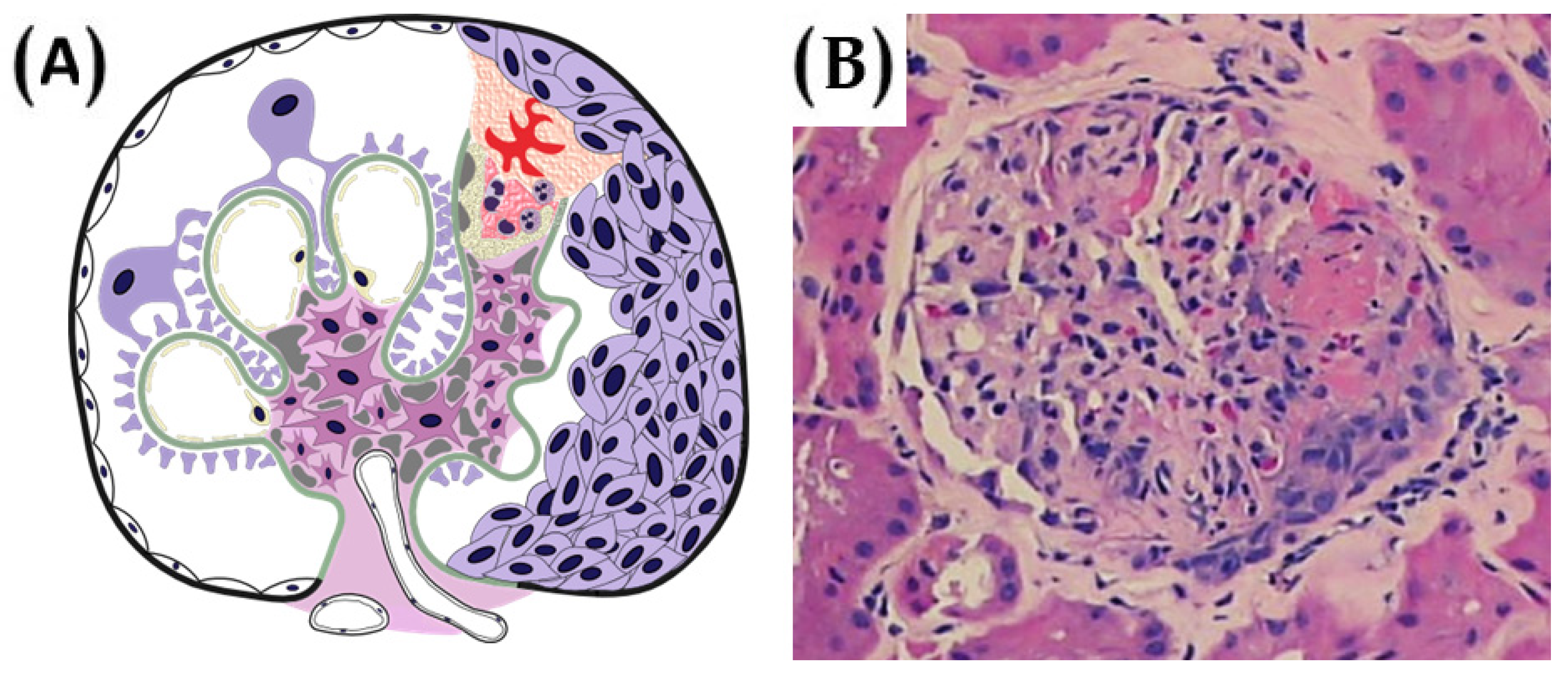 Diagnostics 15 02101 g002