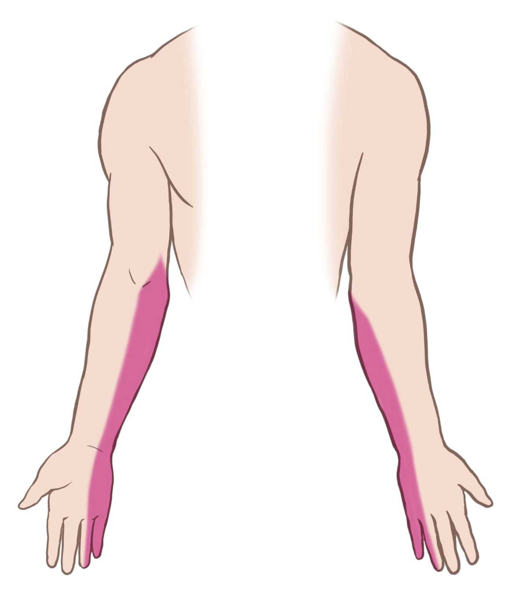 Diagnostics 15 02106 g002