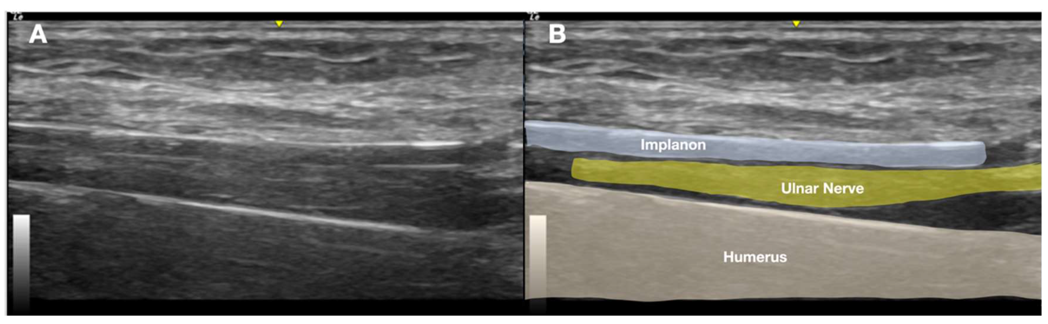 Diagnostics 15 02106 g004