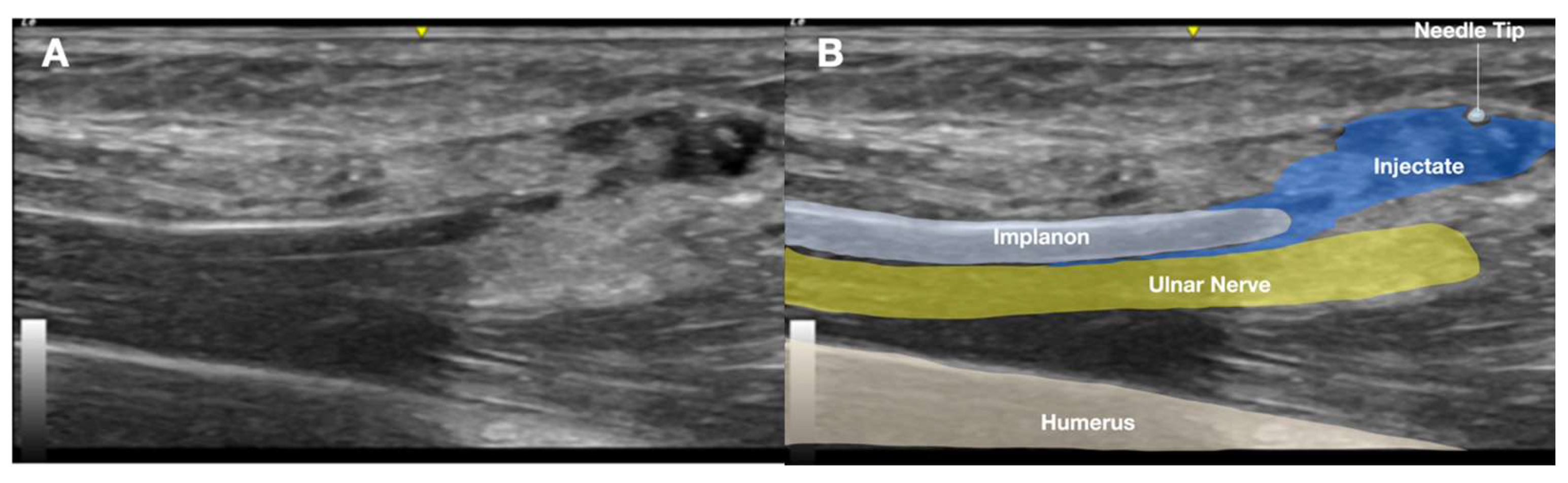 Diagnostics 15 02106 g006