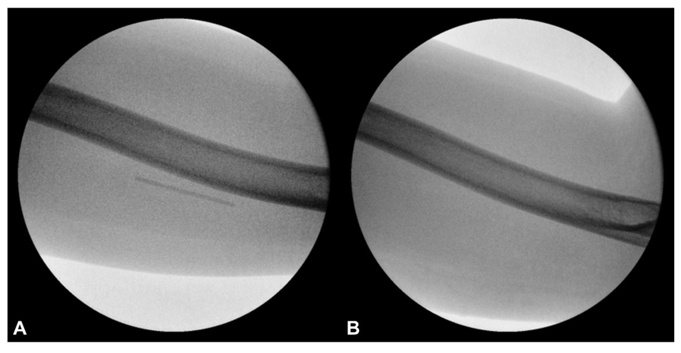 Diagnostics 15 02106 g009