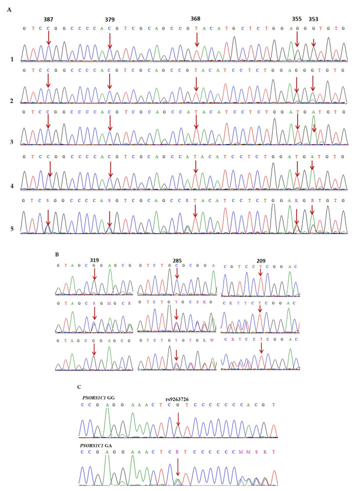 Diagnostics 15 02114 g001