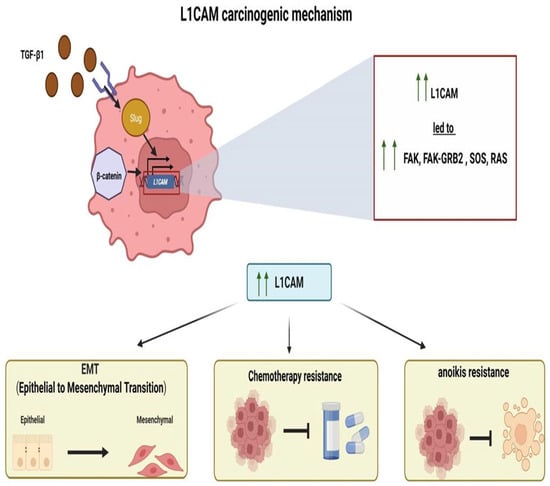 Diagnostics 15 02115 g001