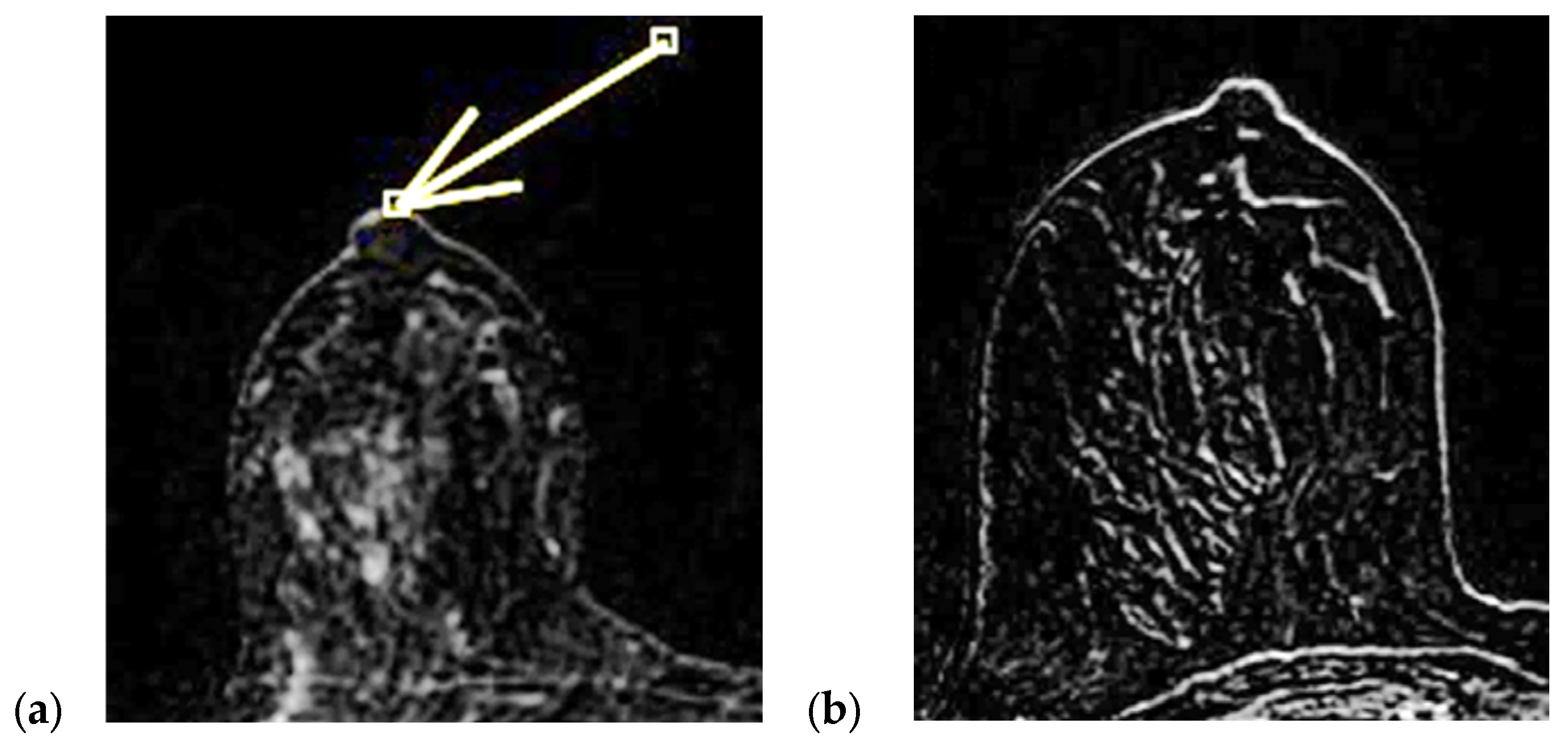 Diagnostics 15 02155 g001