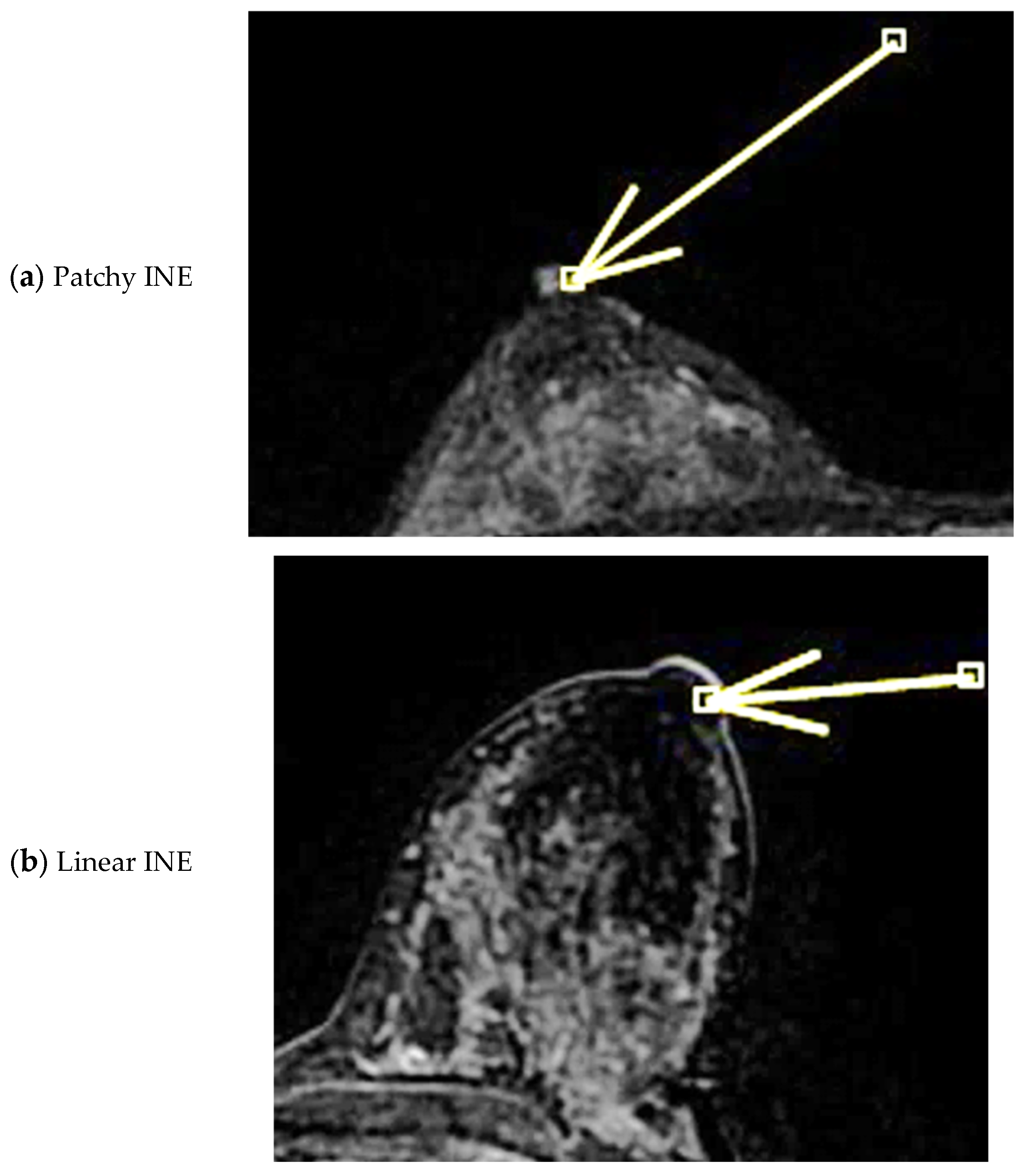 Diagnostics 15 02155 g003