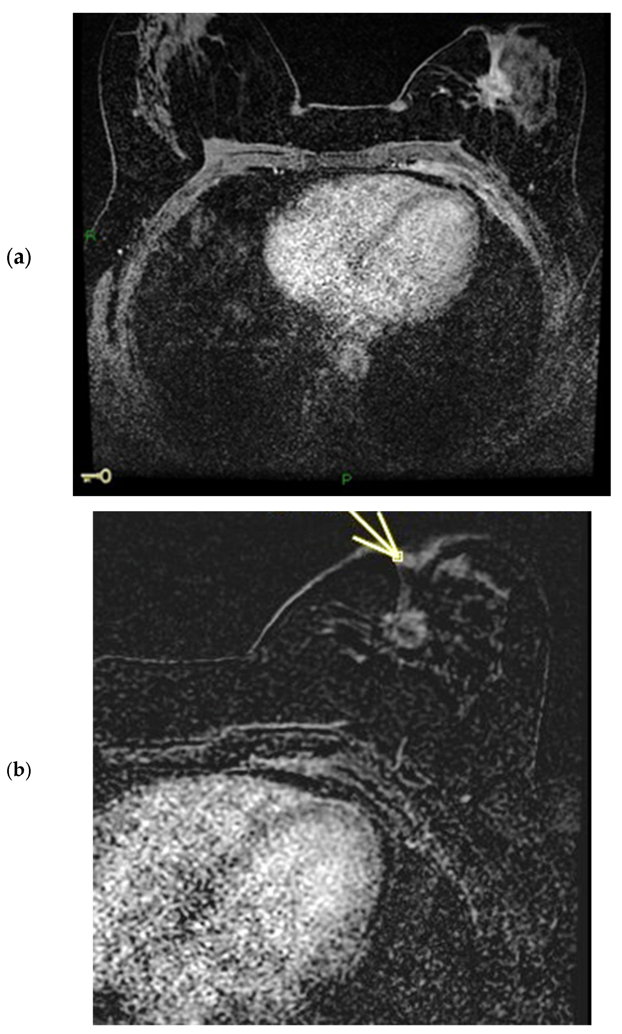 Diagnostics 15 02155 g009