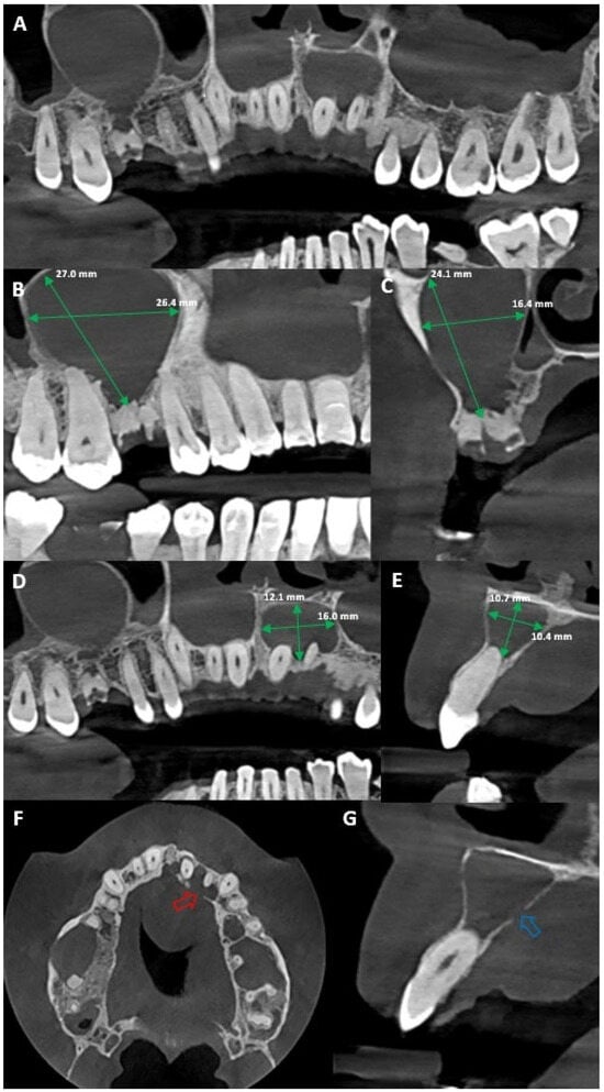 Diagnostics 15 02195 g002