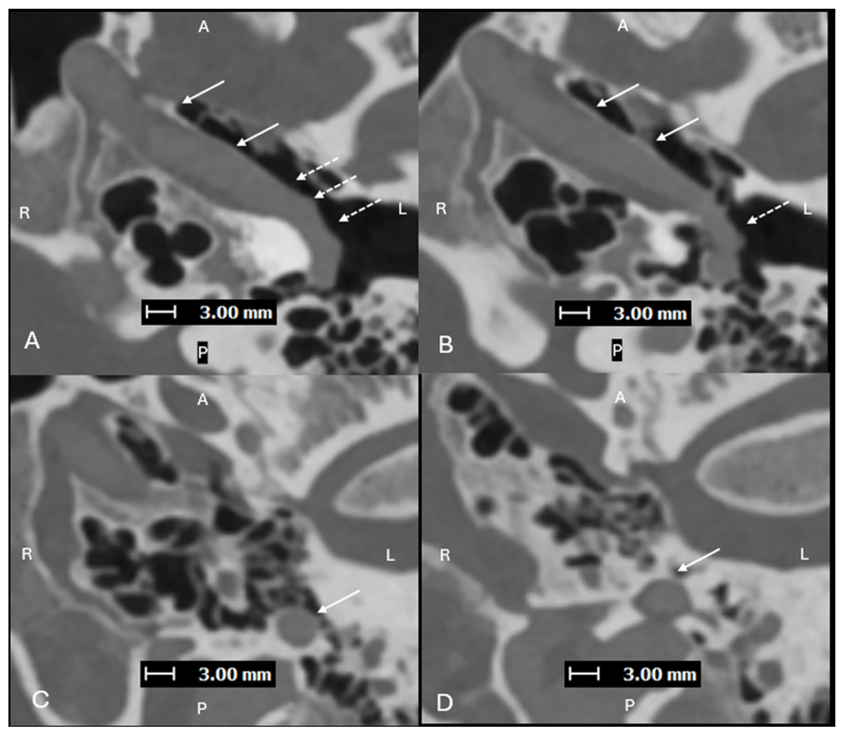 Diagnostics 15 02213 g002