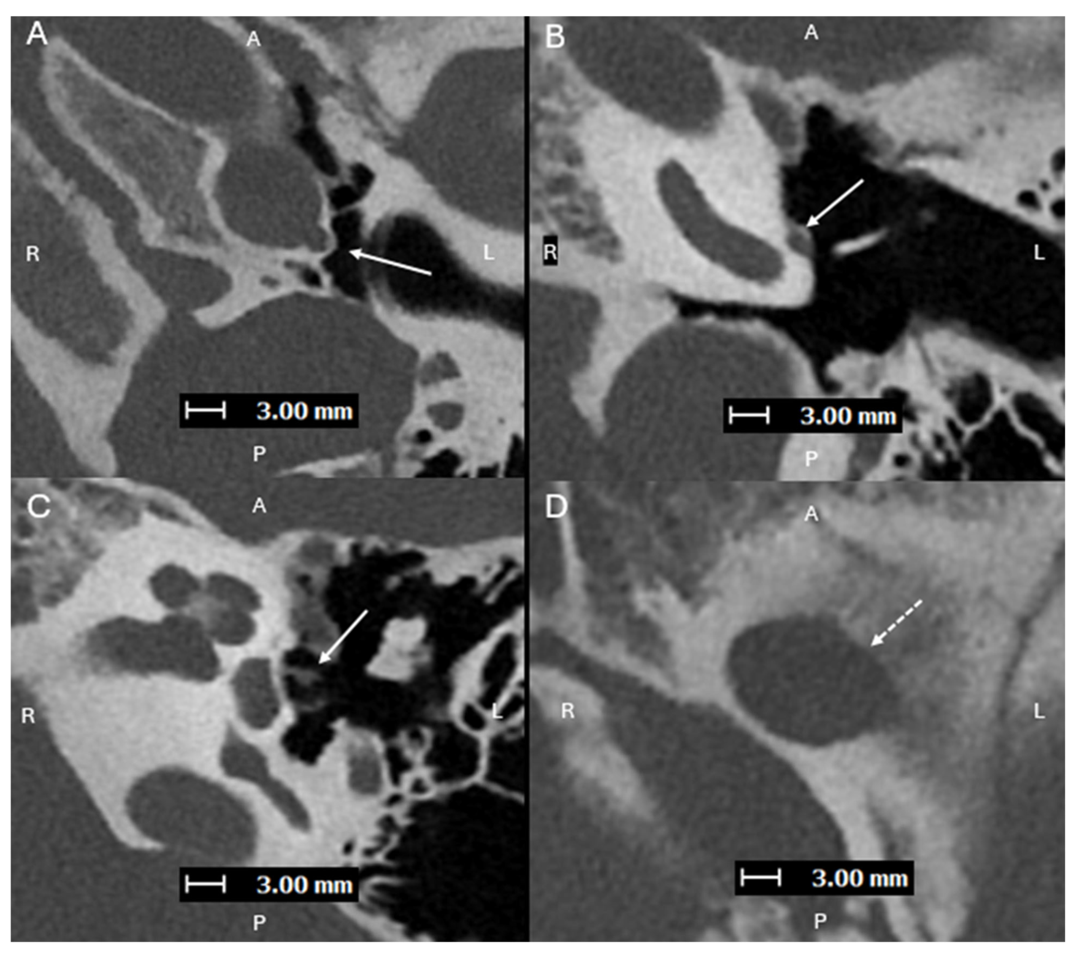 Diagnostics 15 02213 g004