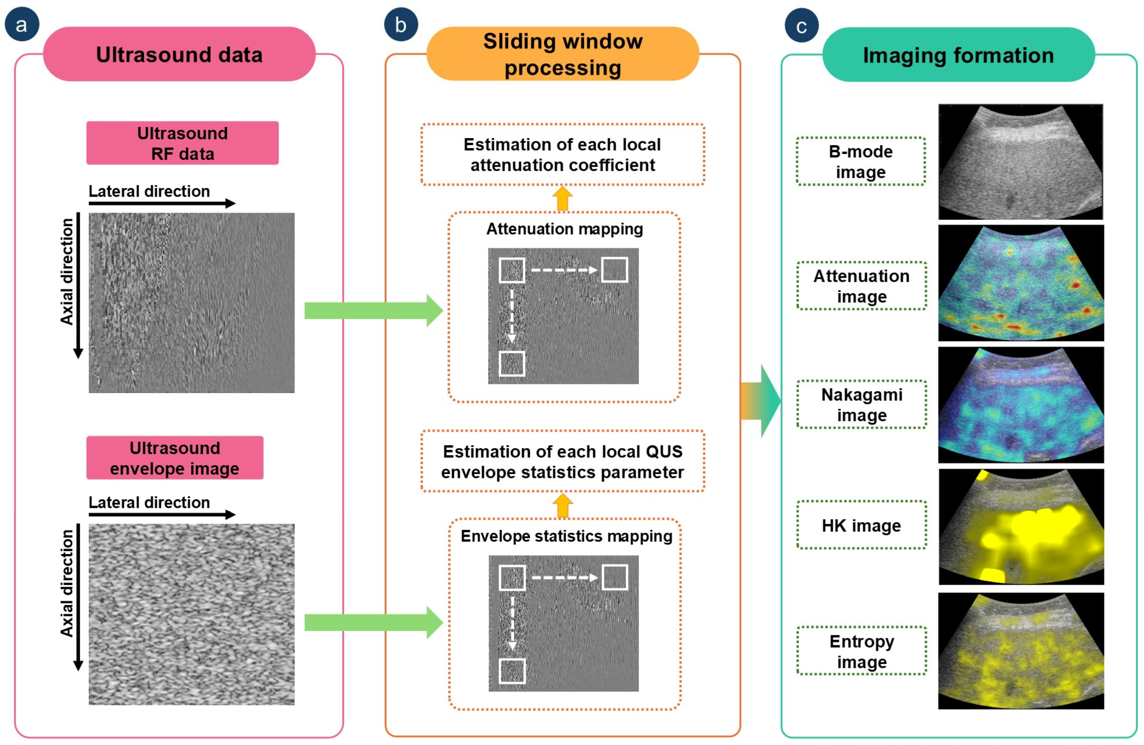 Diagnostics 15 02214 g002
