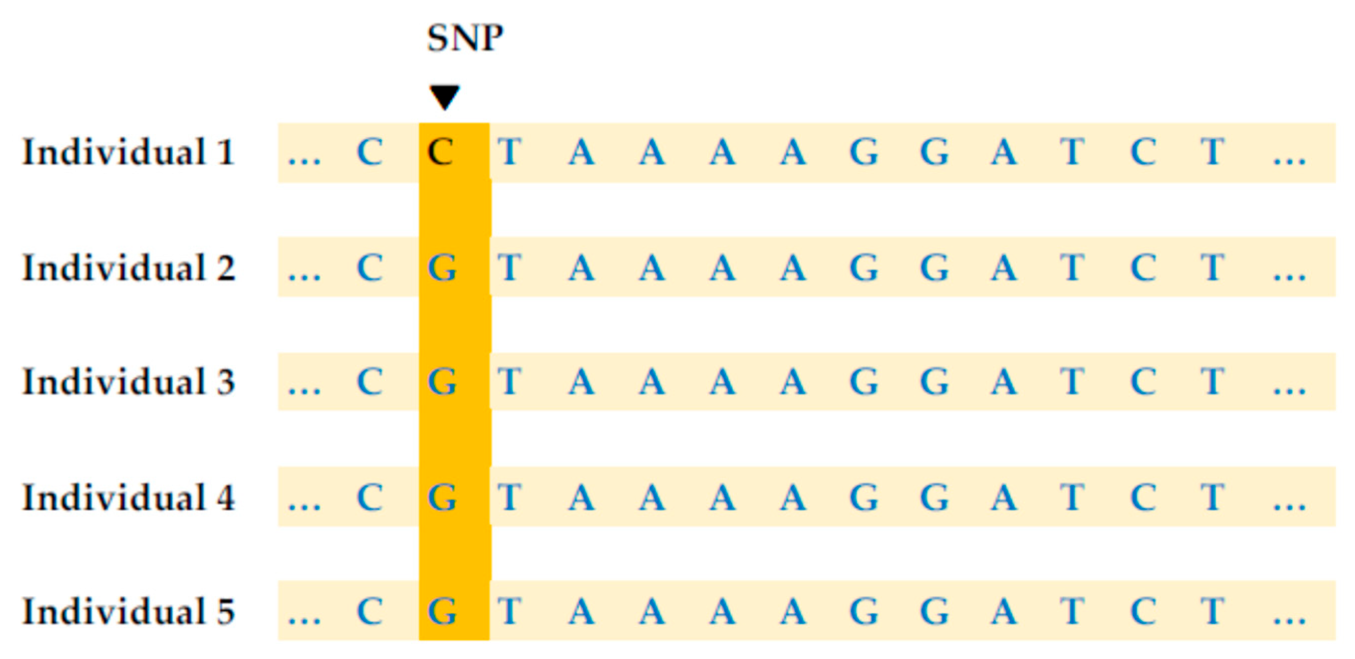 Diagnostics 15 02227 g001