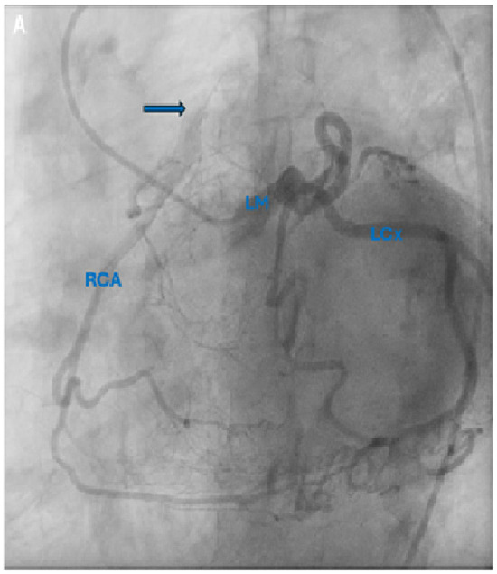 Diagnostics 15 02241 g001a