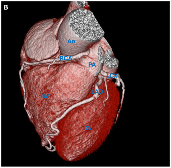 Diagnostics 15 02241 g001b