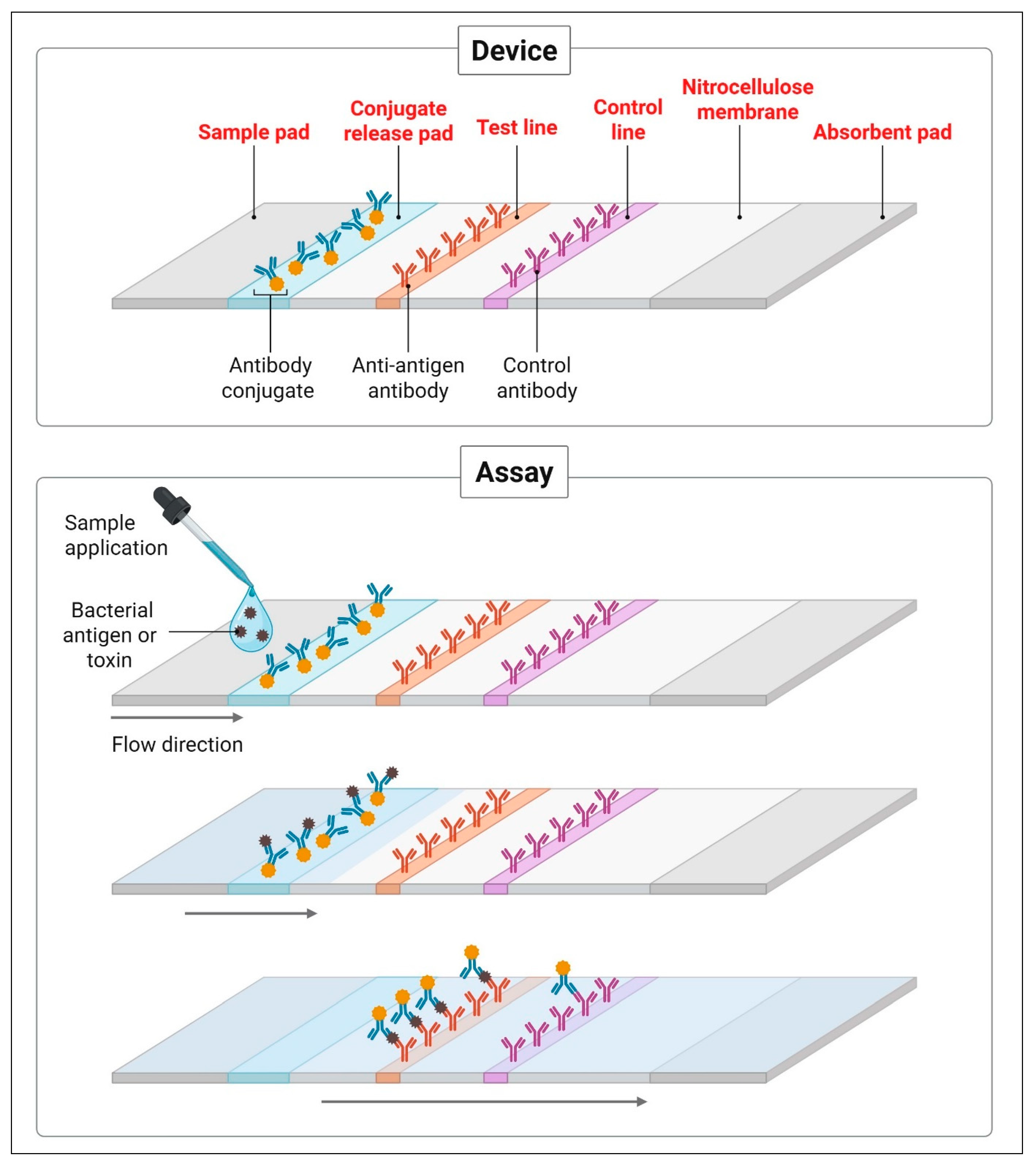 Diagnostics 15 02244 g002