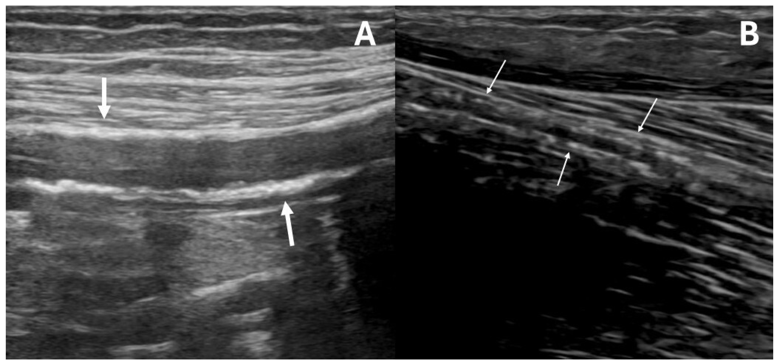 Diagnostics 15 02273 g001 Diagnostics 15 02273 g001