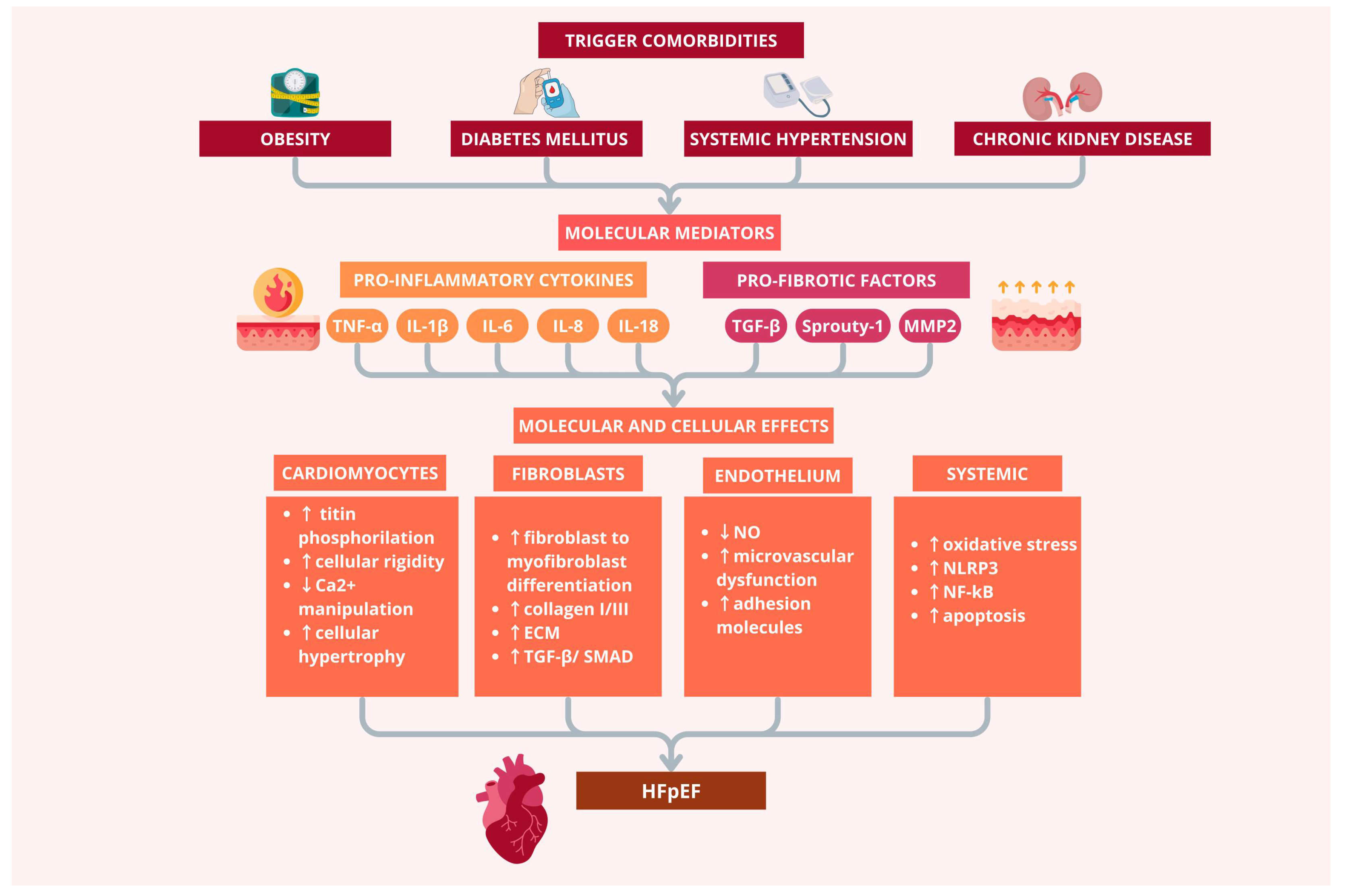 Diagnostics 15 02286 g001