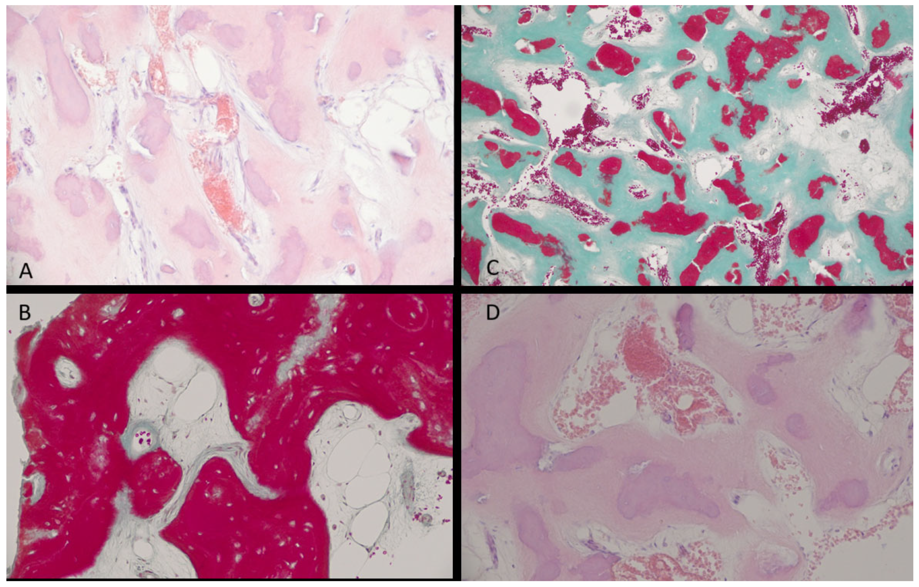 Diagnostics 15 02312 g004