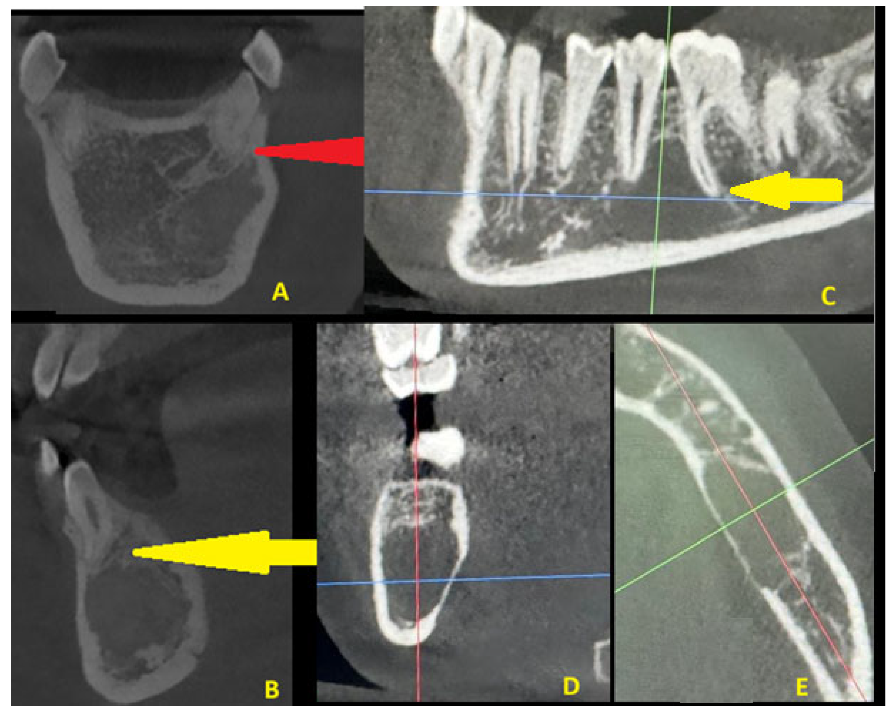 Diagnostics 15 02312 g005